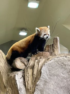 那須どうぶつ王国に投稿された画像（2023/9/30）