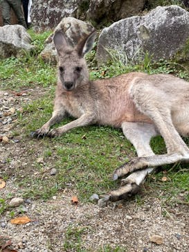 那須どうぶつ王国に投稿された画像（2023/9/30）