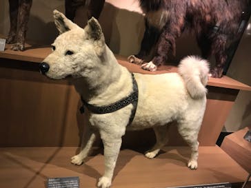 国立科学博物館に投稿された画像（2023/9/30）