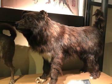 国立科学博物館に投稿された画像（2023/9/30）