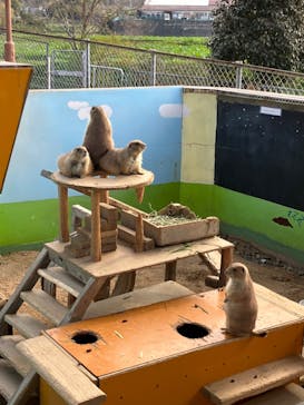 淡路ファームパーク イングランドの丘に投稿された画像（2023/9/30）