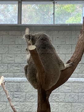 淡路ファームパーク イングランドの丘に投稿された画像（2023/9/30）