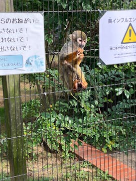 淡路ファームパーク イングランドの丘に投稿された画像（2023/9/30）
