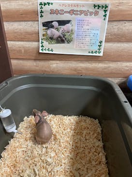 いきもの探検隊上尾に投稿された画像（2023/9/30）