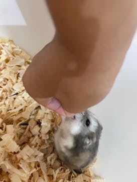 いきもの探検隊上尾に投稿された画像（2023/9/30）