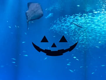 アクアワールド茨城県大洗水族館に投稿された画像（2023/9/30）