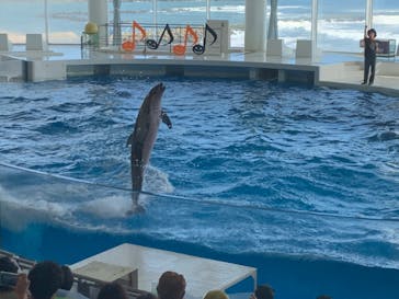 アクアワールド茨城県大洗水族館に投稿された画像（2023/9/30）
