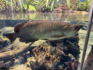 名古屋港水族館に投稿された画像（2023/9/30）