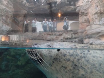 京都水族館に投稿された画像（2023/9/30）