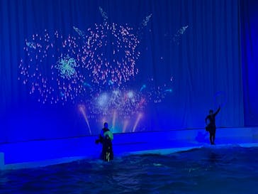 アクアワールド茨城県大洗水族館に投稿された画像（2023/9/30）