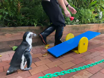 マクセル アクアパーク品川に投稿された画像（2023/9/30）