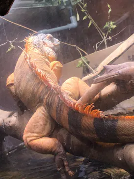 マクセル アクアパーク品川に投稿された画像（2023/9/30）