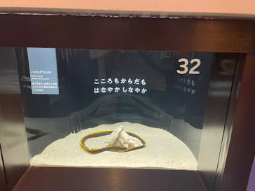 横浜開運水族館 フォーチュンアクアリウムに投稿された画像（2023/9/30）