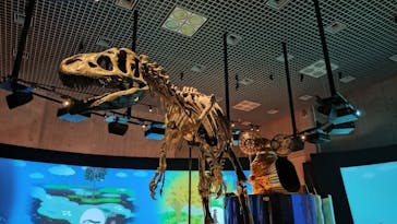 国立科学博物館に投稿された画像（2023/9/30）