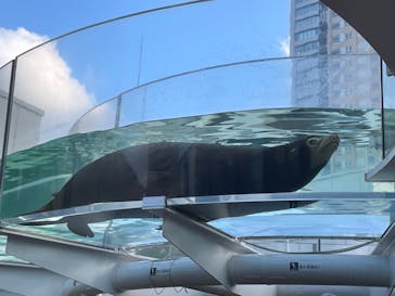 サンシャイン水族館に投稿された画像（2023/9/30）