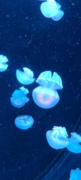 AOAO SAPPOROに投稿された画像（2023/9/30）