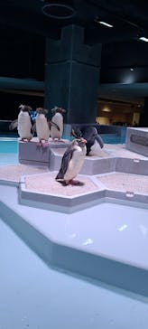 AOAO SAPPOROに投稿された画像（2023/9/30）