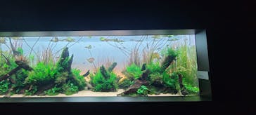 AOAO SAPPOROに投稿された画像（2023/9/30）