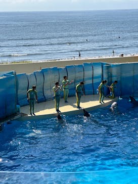 新江ノ島水族館に投稿された画像（2023/10/1）