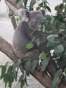 淡路ファームパーク イングランドの丘に投稿された画像（2023/10/1）