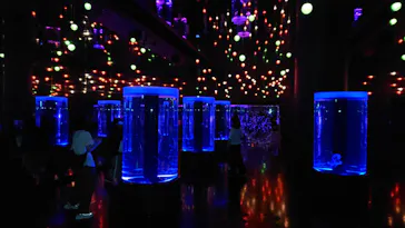 マクセル アクアパーク品川に投稿された画像（2023/10/1）