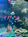 サンシャイン水族館に投稿された画像（2023/10/1）