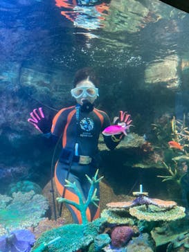 サンシャイン水族館に投稿された画像（2023/10/1）