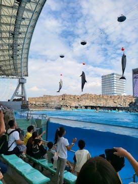 名古屋港水族館に投稿された画像（2023/10/1）