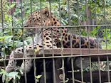 よこはま動物園ズーラシアに投稿された画像（2023/10/1）