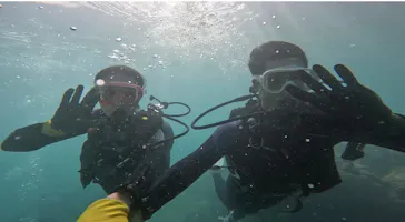 武藤潜水に投稿された画像（2023/10/1）