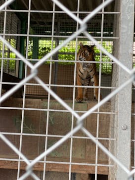 しろとり動物園に投稿された画像（2023/10/1）