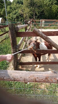 しろとり動物園に投稿された画像（2023/10/1）