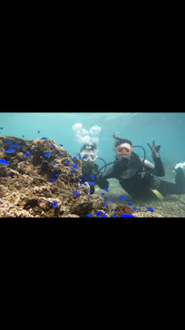 武藤潜水に投稿された画像（2023/10/1）