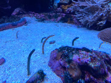 サンシャイン水族館に投稿された画像（2023/10/1）