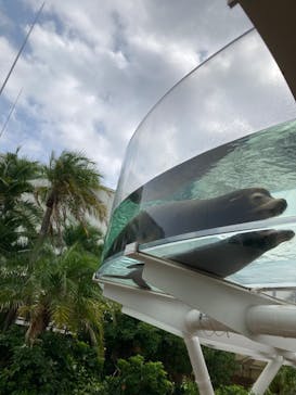 サンシャイン水族館に投稿された画像（2023/10/1）