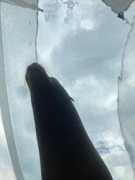 サンシャイン水族館に投稿された画像（2023/10/1）