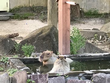 横浜市立金沢動物園に投稿された画像（2023/10/1）