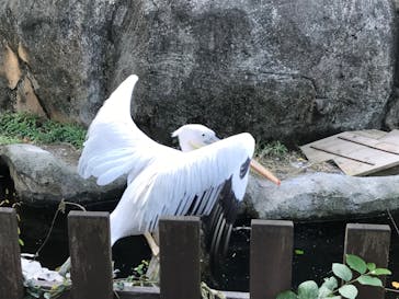 横浜市立金沢動物園に投稿された画像（2023/10/1）