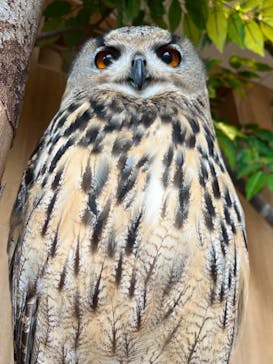 Moff animal cafe 小田原ダイナシティ店に投稿された画像（2023/10/1）