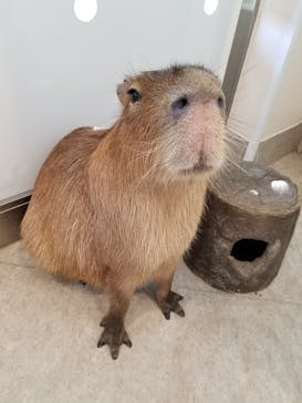 アニタッチみなとみらいに投稿された画像（2023/10/1）