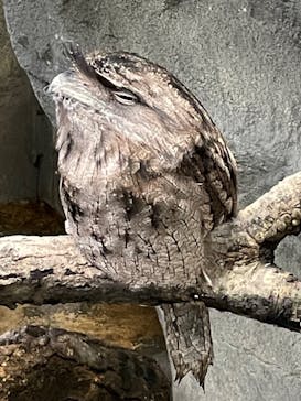 那須どうぶつ王国に投稿された画像（2023/10/1）