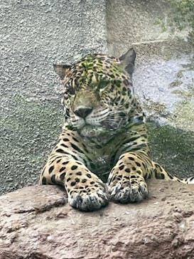 那須どうぶつ王国に投稿された画像（2023/10/1）