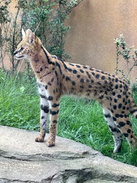 那須どうぶつ王国に投稿された画像（2023/10/1）