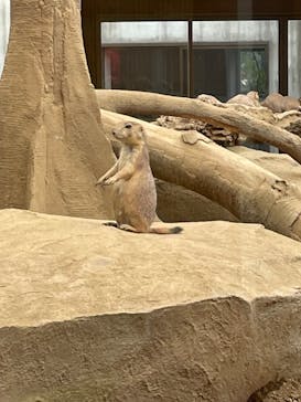 那須どうぶつ王国に投稿された画像（2023/10/1）