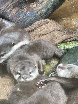 那須どうぶつ王国に投稿された画像（2023/10/1）