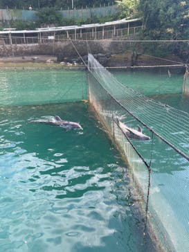 伊豆・三津シーパラダイスに投稿された画像（2023/10/1）