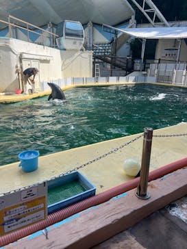 伊豆・三津シーパラダイスに投稿された画像（2023/10/1）