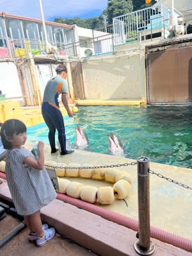 伊豆・三津シーパラダイスに投稿された画像（2023/10/1）