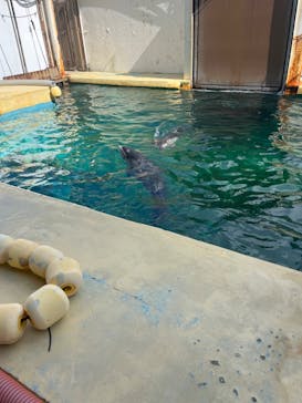 伊豆・三津シーパラダイスに投稿された画像（2023/10/1）