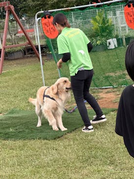 つくばわんわんランドに投稿された画像（2023/10/1）